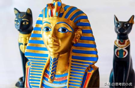 埃及猫：神秘的九命传说