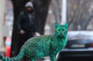 外国出现荧光绿色猫咪，颜色逐渐加深，夜晚自带灯光
