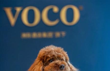 南京园博园新开业Voco酒店：带着宠物旅行的理想之选